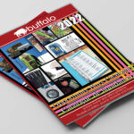 Catalogue Buffalo Liquidation 2022